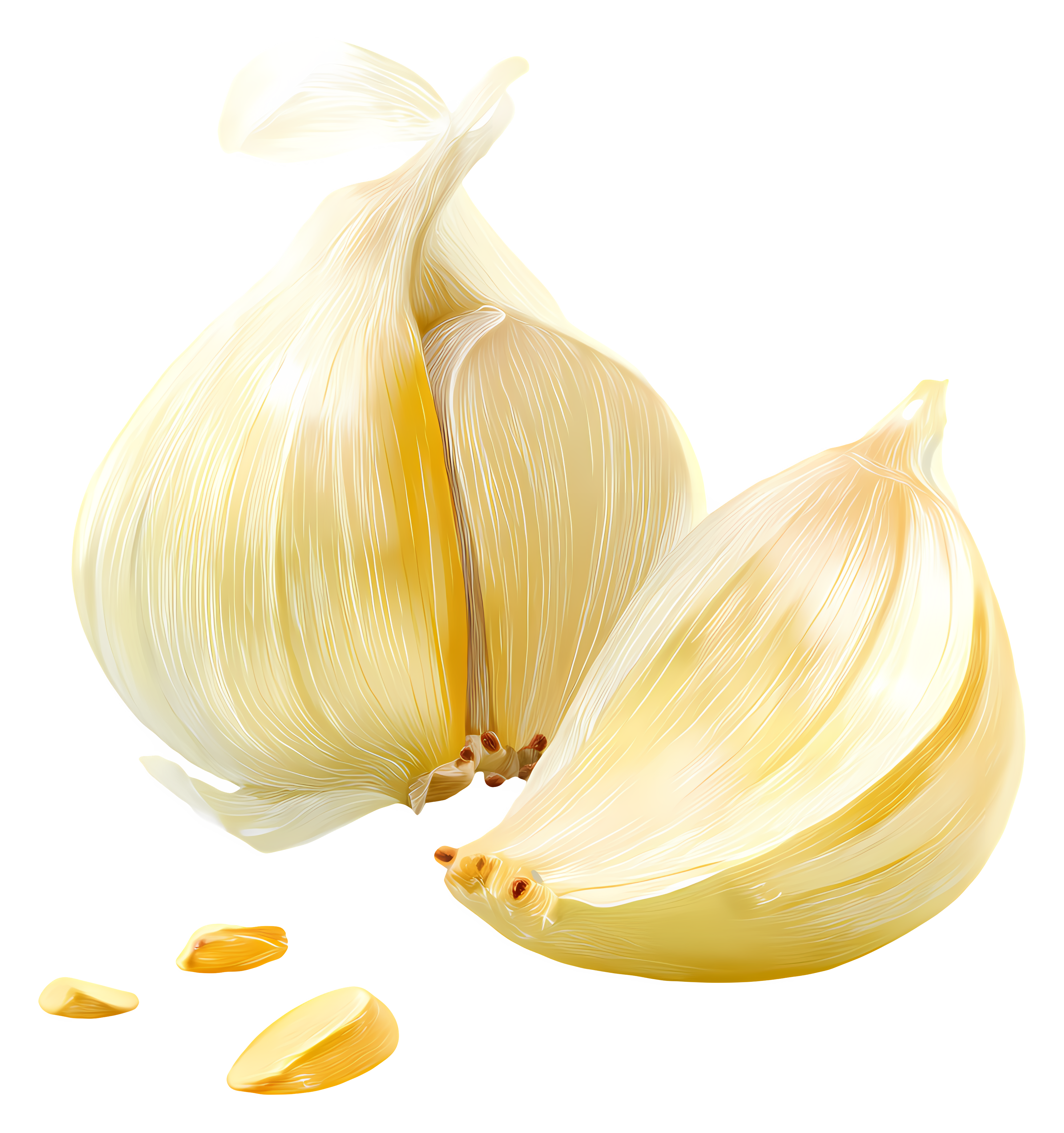 Garlic